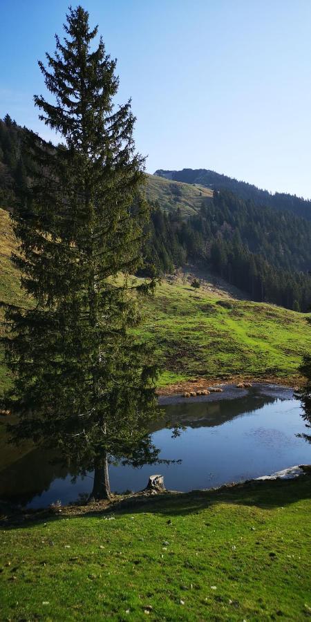 Kiara 7 Διαμέρισμα Jesenice Εξωτερικό φωτογραφία