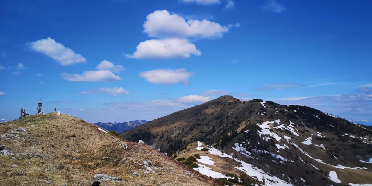 Kiara 7 Διαμέρισμα Jesenice Εξωτερικό φωτογραφία