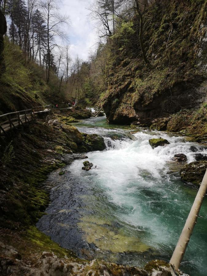 Kiara 7 Διαμέρισμα Jesenice Εξωτερικό φωτογραφία