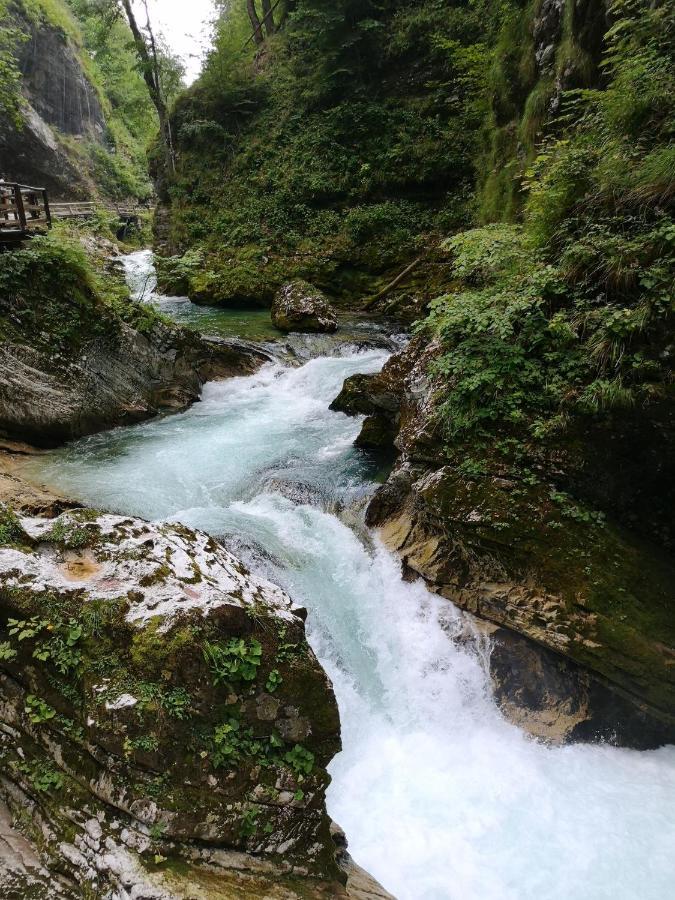 Kiara 7 Διαμέρισμα Jesenice Εξωτερικό φωτογραφία