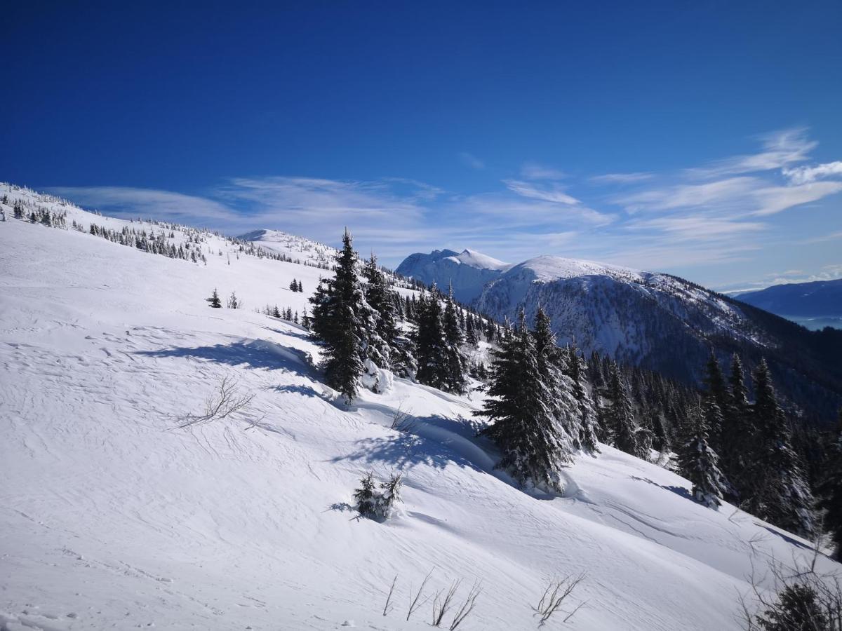 Kiara 7 Διαμέρισμα Jesenice Εξωτερικό φωτογραφία