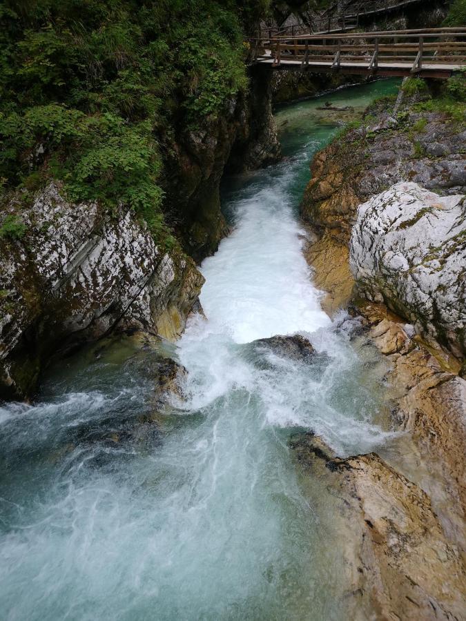 Kiara 7 Διαμέρισμα Jesenice Εξωτερικό φωτογραφία